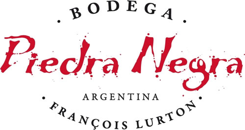 Bodega_logo