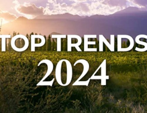 Top Trends 2024