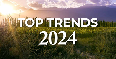 top_trends_fi